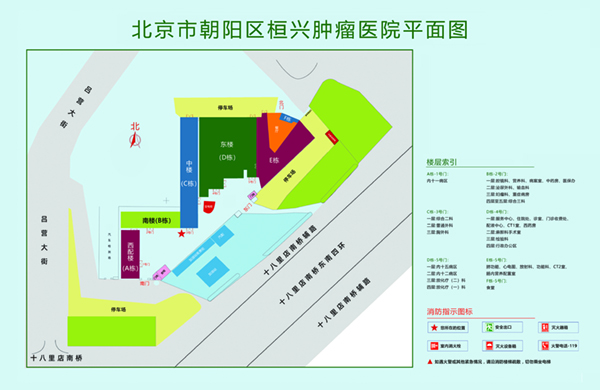 嗯啊不要抽插北京市朝阳区桓兴肿瘤医院平面图